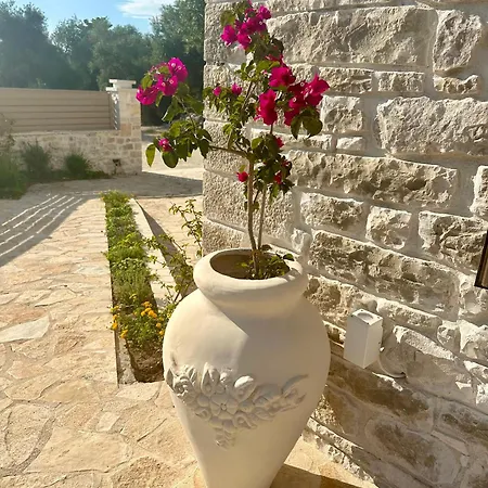 Nikolas Villa Ozias